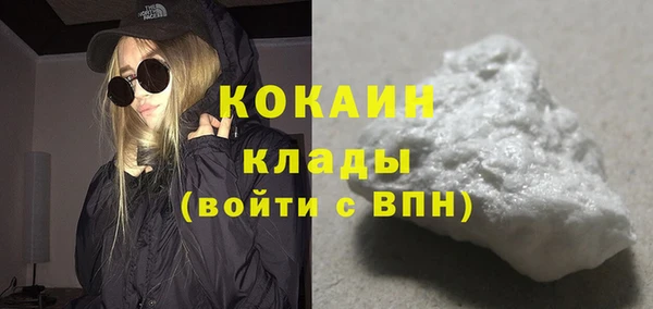 шишки Нефтегорск