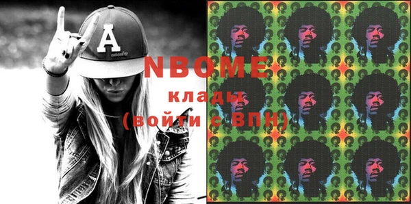 шишки Аша