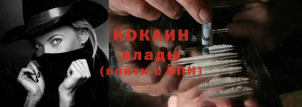 шишки Нефтегорск