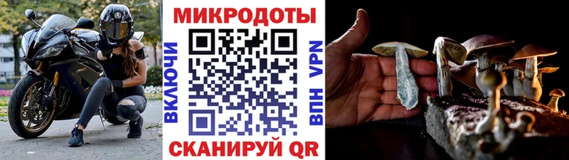 Псилоцибиновые грибы GOLDEN TEACHER  маркетплейс формула  Бабушкин  цены наркотик 